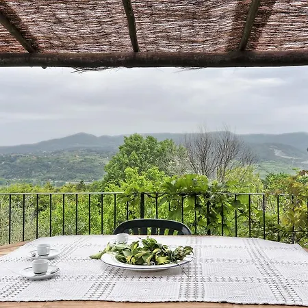 Graziella Villa Montescudaio