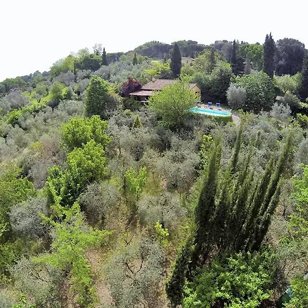 Graziella * Montescudaio